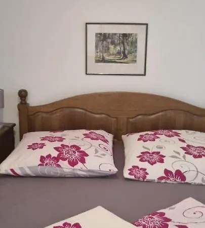 Apartment Anda Near Queen Privlaka (Zadar)