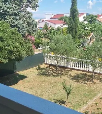 Anda Near Queen Privlaka (Zadar)