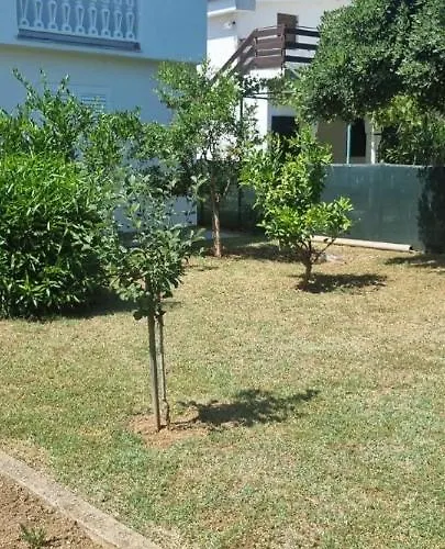 Anda Near Queen
